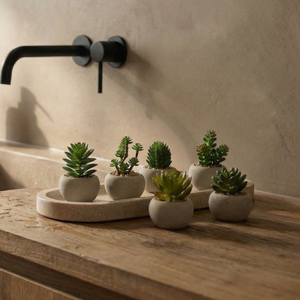 Artificial Mini Succulents In Cement Pot - Succulent Mix Set 6 - Ø 6.5
