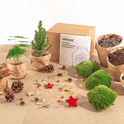 Christmas Plant Terrarium Package - Christmas Kit & Tree - 3 Terrarium Plants - Refill & Starter Package