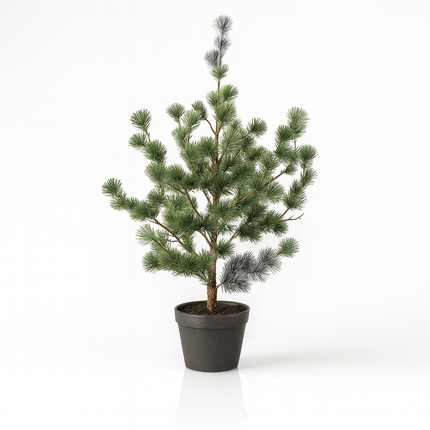 Pine Tree (Cedar Pine) 80, 120 & 150 Cm - Artificial Plant In Pot