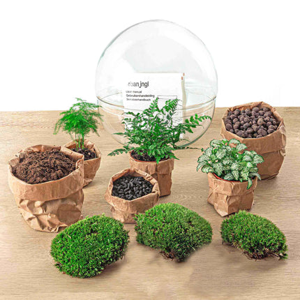 Terrarium Diy Kit - Dome Xl - Bottle Garden - ↑ 28 Cm