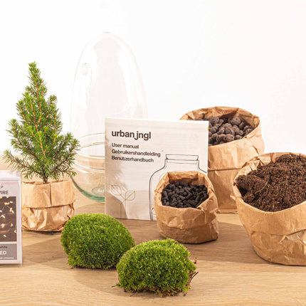 Egg Christmas - Plant Terrarium With Christmas Tree And Lighting - ↑ 25 Cm