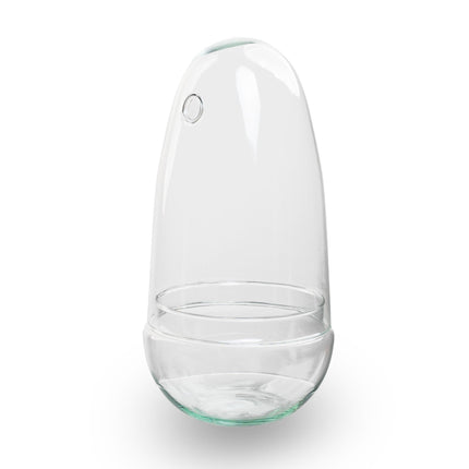 Egg - Glass Bulb - Bell Jar - Terrarium ↑ 25.5 Cm - Model: Egg