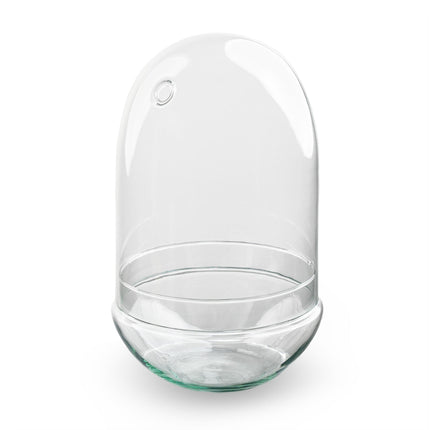 Terrarium Bottle ‘Egg Xl’ – Two-Part Glass Dome – Closed Terrarium Ø 17.5 Cm ↑ 30 Cm