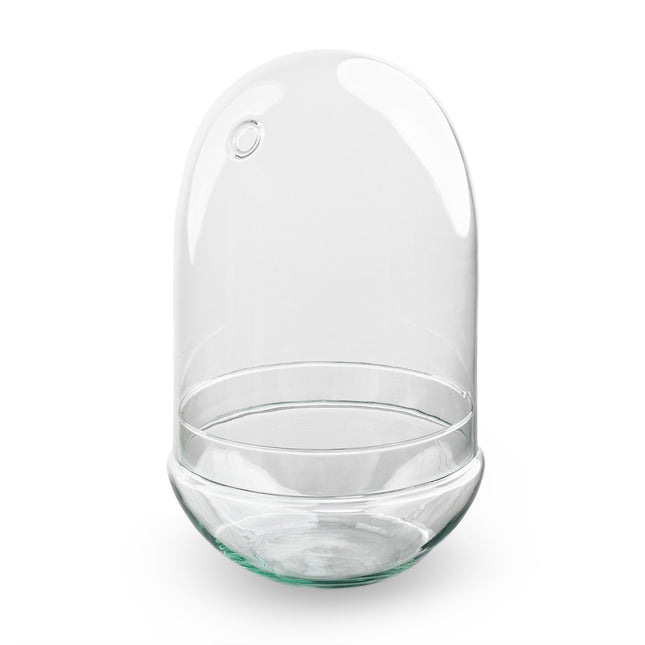Terrarium Bottle ‘Egg Xl’ – Two-Part Glass Dome – Closed Terrarium Ø 17.5 Cm ↑ 30 Cm