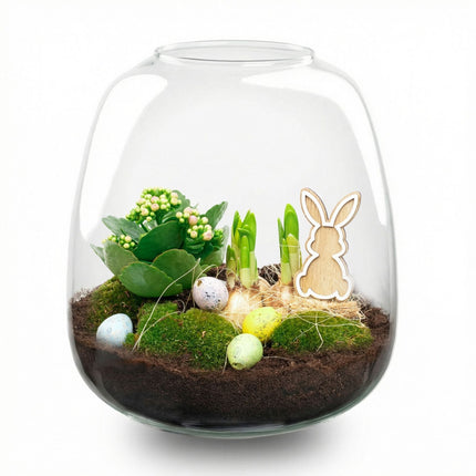 Emma Easter - Open Terrarium - Bottle Garden Diy Kit - Ø 23 Cm ↑ 25 Cm