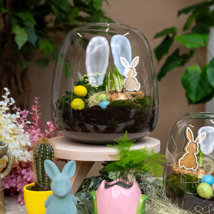 Emma Easter - Open Terrarium - Bottle Garden Diy Kit - Ø 23 Cm ↑ 25 Cm
