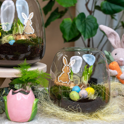Emma Mini Easter - Open Terrarium - Bottle Garden Diy Kit - Ø 19 Cm ↑ 20 Cm
