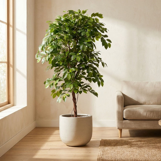 Ficus Deluxe Vine Tree 140 Cm - Artificial Plant