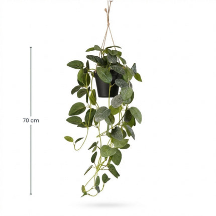 Artificial Fittonia - Hanging Plant In Pot - Green & White - 70 Cm
