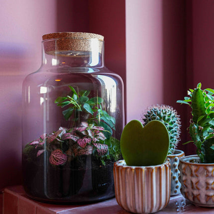'Love Mom' Terrarium Little Milky + Engraved Cork With Light - Bottle Garden Diy Kit - Ø 17 Cm ↑ 25 Cm - Mother’s Day