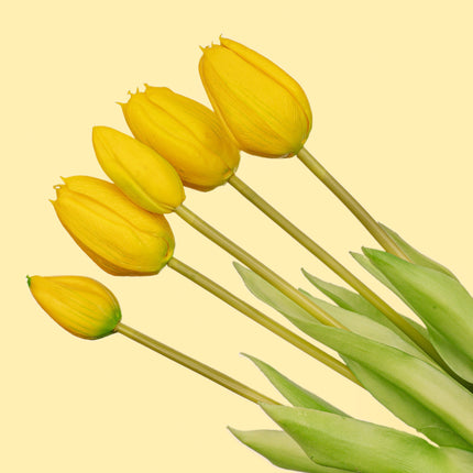 Vase Lady ‘Kylie’ ↑ 27 Cm + 10X Real Touch Tulips Yellow