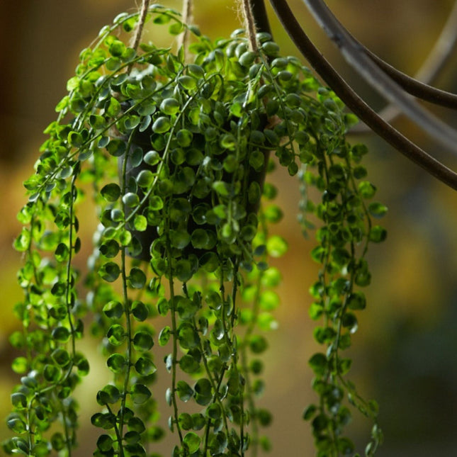 Artificial Ficus Pumila - Hanging Plant In Pot - 85 Cm