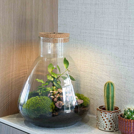 'Love Mom' Terrarium Sam + Engraved Cork With Light - Bottle Garden Diy Kit - Ø 24.5 Cm ↑ 30 Cm - Mother’s Day