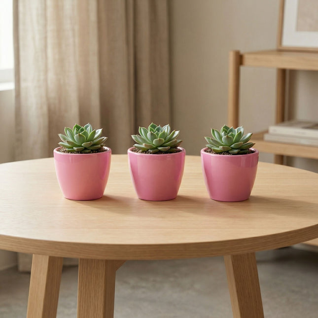 Pretty In Pink - Mini Plant Pot - Boule Pot Pink - Ø 6 Cm ↑ 6 Cm