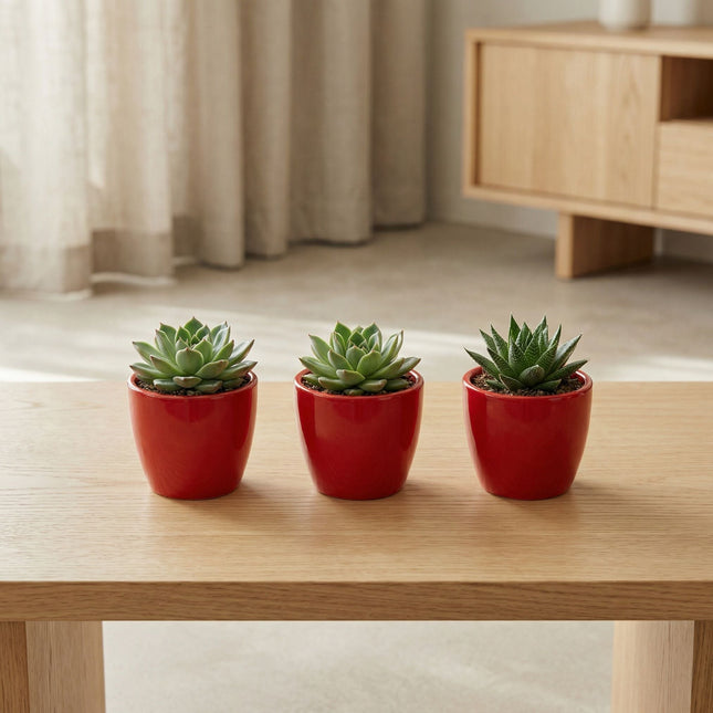 Love In Red - Mini Plant Pot - Boule Pot Red - Ø 6 Cm ↑ 6 Cm