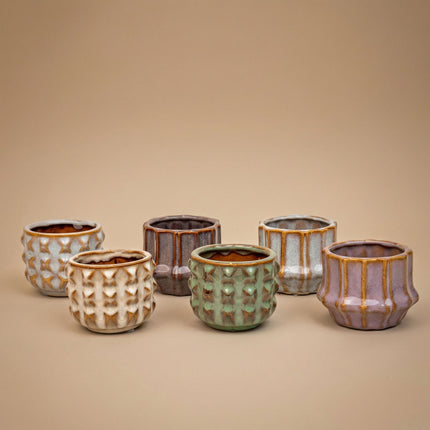 Plant Set Of 6 With Pot Set San Juan - Cacti Mix - Ø 6 Cm