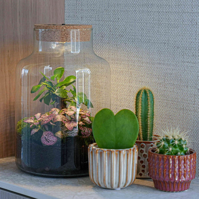 'Love Mom' Terrarium Little Milky + Engraved Cork With Light - Bottle Garden Diy Kit - Ø 17 Cm ↑ 25 Cm - Mother’s Day