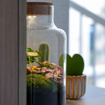 'Love Mom' Terrarium Little Milky + Engraved Cork With Light - Bottle Garden Diy Kit - Ø 17 Cm ↑ 25 Cm - Mother’s Day
