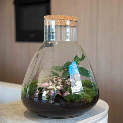 'Love Mom' Terrarium Sam + Engraved Cork With Light - Bottle Garden Diy Kit - Ø 24.5 Cm ↑ 30 Cm - Mother’s Day