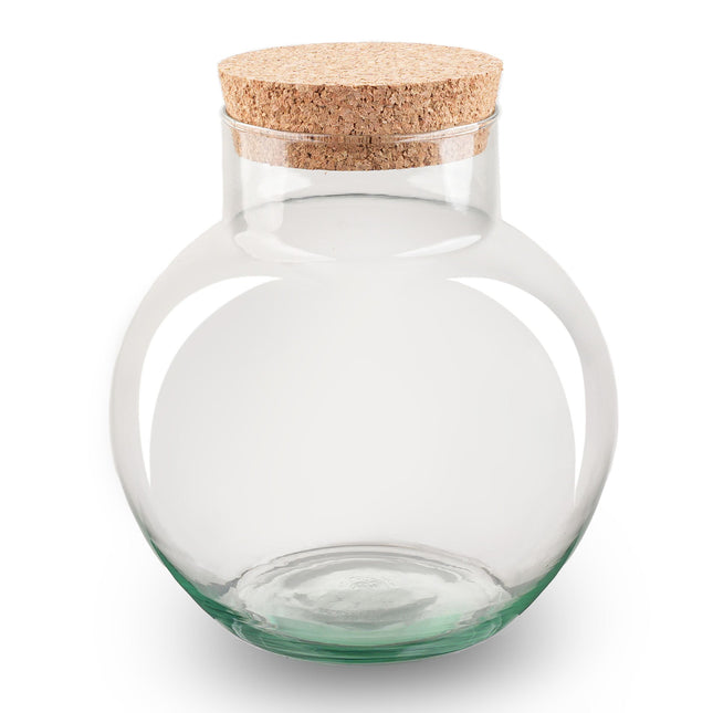 Terrarium With Cork - Noah - Closed Terrarium ↑ 20 Cm