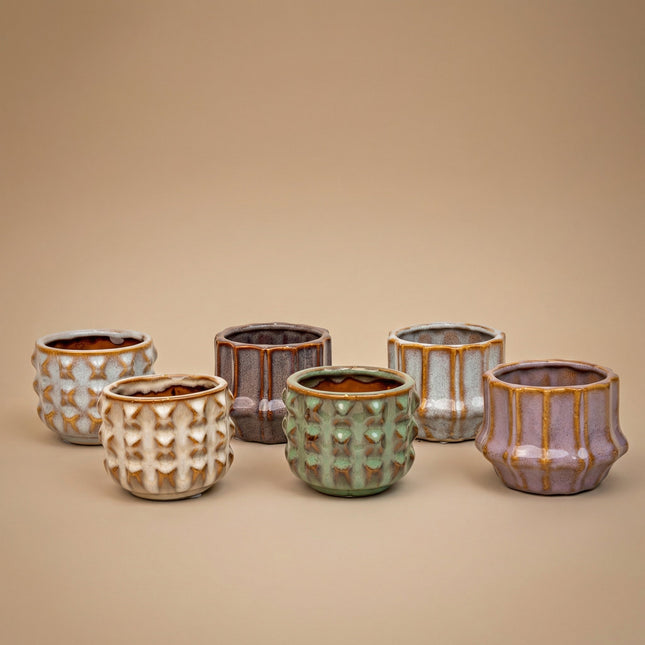 Succulents Set Of 6 In Ceramic Mini Pot San Juan - ↑ 8–12 Cm