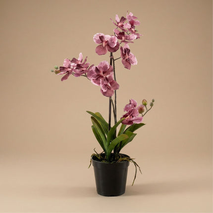 Artificial Orchid Vanda 60 Cm - Old Pink In Pot - Artificial Plant