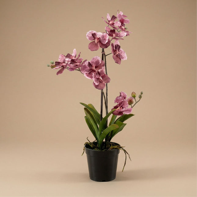 Artificial Orchid Vanda 60 Cm - Old Pink In Pot - Artificial Plant