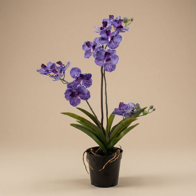 Artificial Orchid Vanda 60 Cm - Purple In Pot - Artificial Plant