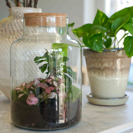'Love Mom' Terrarium Little Milky + Engraved Cork With Light - Bottle Garden Diy Kit - Ø 17 Cm ↑ 25 Cm - Mother’s Day