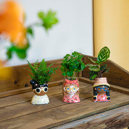 Mini Flower Pot Multi Color – Mini Jessica - ↑ 10.5 Cm - Face Head