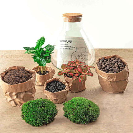 Terrarium Diy Kit - Sammie - Bottle Garden - ↑ 27 Cm