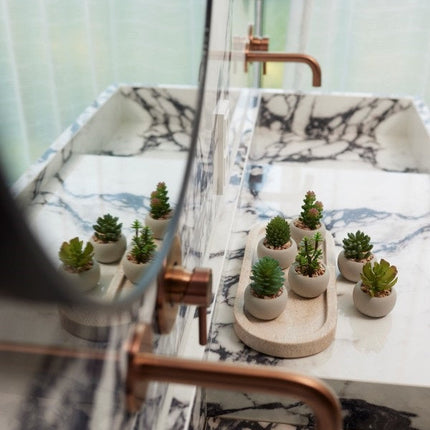 Artificial Mini Succulents In Cement Pot - Succulent Mix Set 6 - Ø 6.5