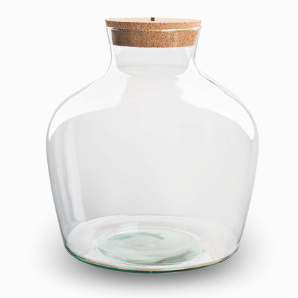 Terrarium Bottle 'Fat Joe' - Incl. Led Cork - Closed Terrarium  Ø 29 Cm ↑ 30 Cm