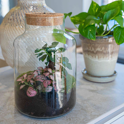 'Love Mom' Terrarium Little Milky + Engraved Cork With Light - Bottle Garden Diy Kit - Ø 17 Cm ↑ 25 Cm - Mother’s Day