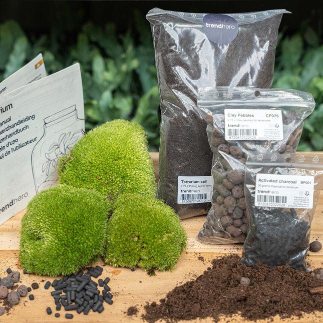 Terrarium Package  – Refill & Starter Package  – Diy Terrarium Kit – Size L/Xl