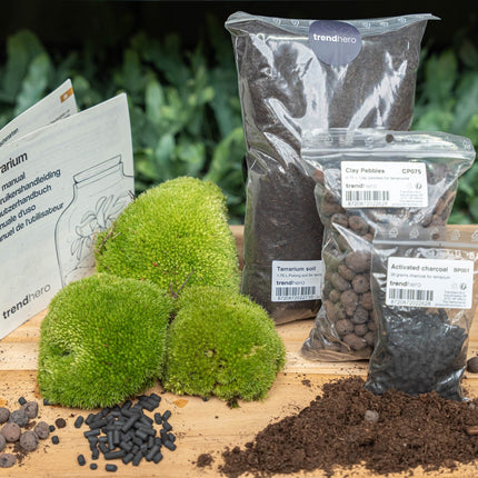 Terrarium Package  – Refill & Starter Package  – Diy Terrarium Kit – Size L/Xl