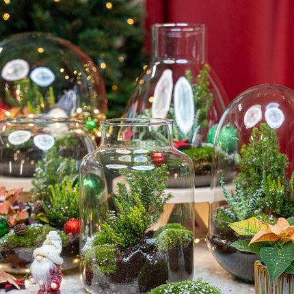Rudolph Christmas Terrarium - Bottle Garden Diy Kit - Ø 23 Cm ↑ 25 Cm