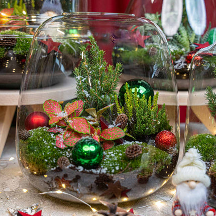 Berry Christmas Terrarium - Bottle Garden Diy Kit - Ø 19 Cm ↑ 20 Cm