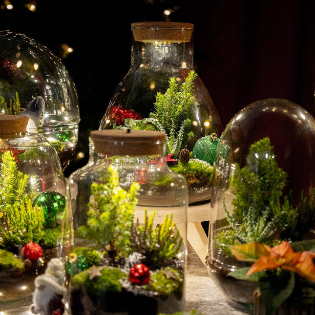 Berry Christmas Terrarium - Bottle Garden Diy Kit - Ø 19 Cm ↑ 20 Cm