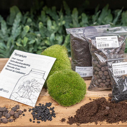 Terrarium Package  – Refill & Starter Package  – Diy Terrarium Kit – Size S/M