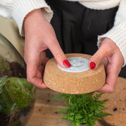 Cork With Led - Terrarium Cork With Light -  3 Sizes Available