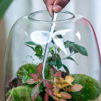 Extra Long Terrarium Tweezer - 26 Cm - Stainless Steel