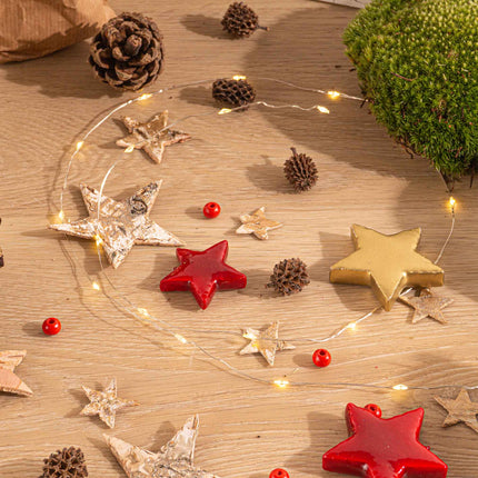 Christmas Plant Terrarium Package - Christmas Kit & Tree - 3 Terrarium Plants - Refill & Starter Package